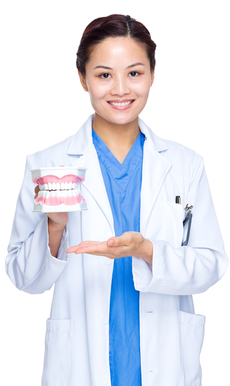 a woman in a white coat holding a model of a jaw