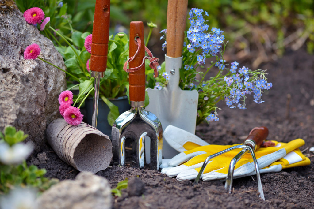 Gardening tools and spring flowers in the garden. Gardening concept.