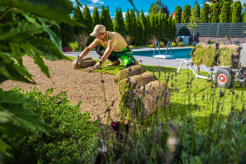 Caucasian Man in His 40s Restoring Residential Backyard Garden Grass Turfs During Spring Time Maintenance.