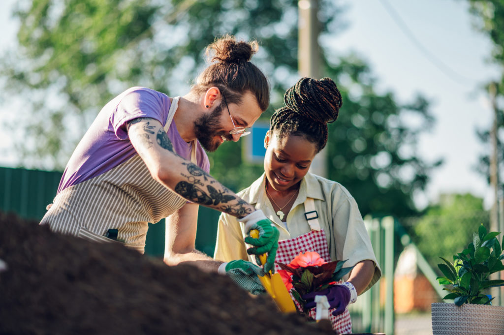 Professional multiracial colleagues gardeners working with ground while transplanting flower pot plants at the table in a plant nursery. Diverse couple of people using shovel while using fertile soil