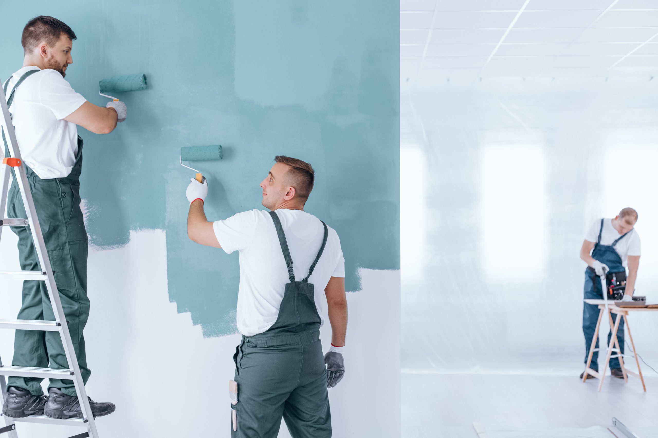 a couple of men painting a wall