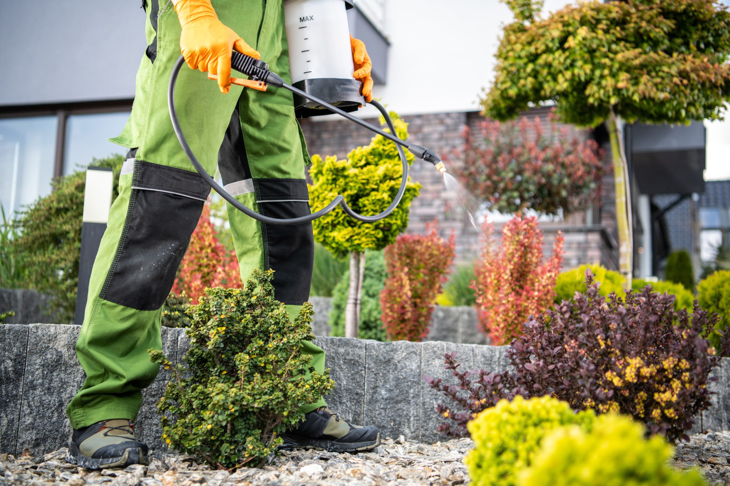 A man in green overalls spraying plants with a sprayer in a garden.